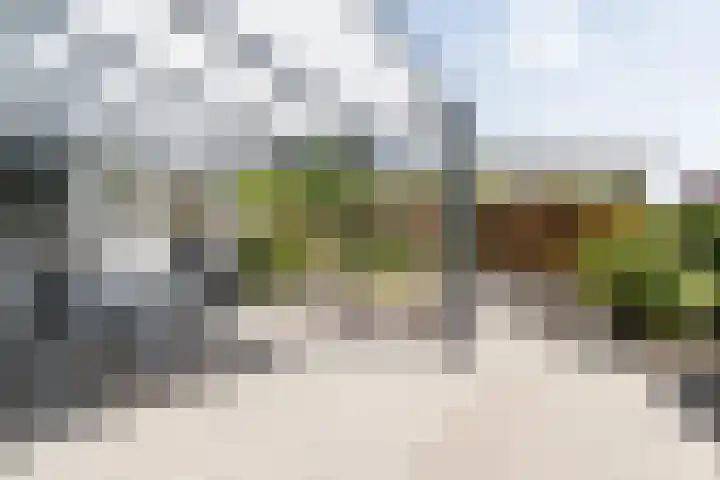 Thieu Gielenstraat 11 Nederweert thumbnail 45