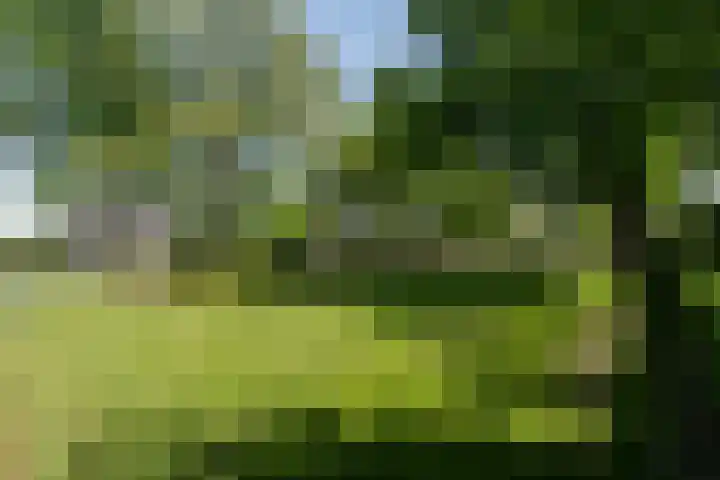 Thieu Gielenstraat 11 Nederweert thumbnail 51