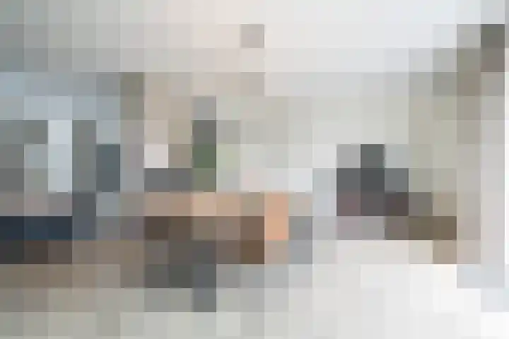 Thieu Gielenstraat 11 Nederweert thumbnail 8