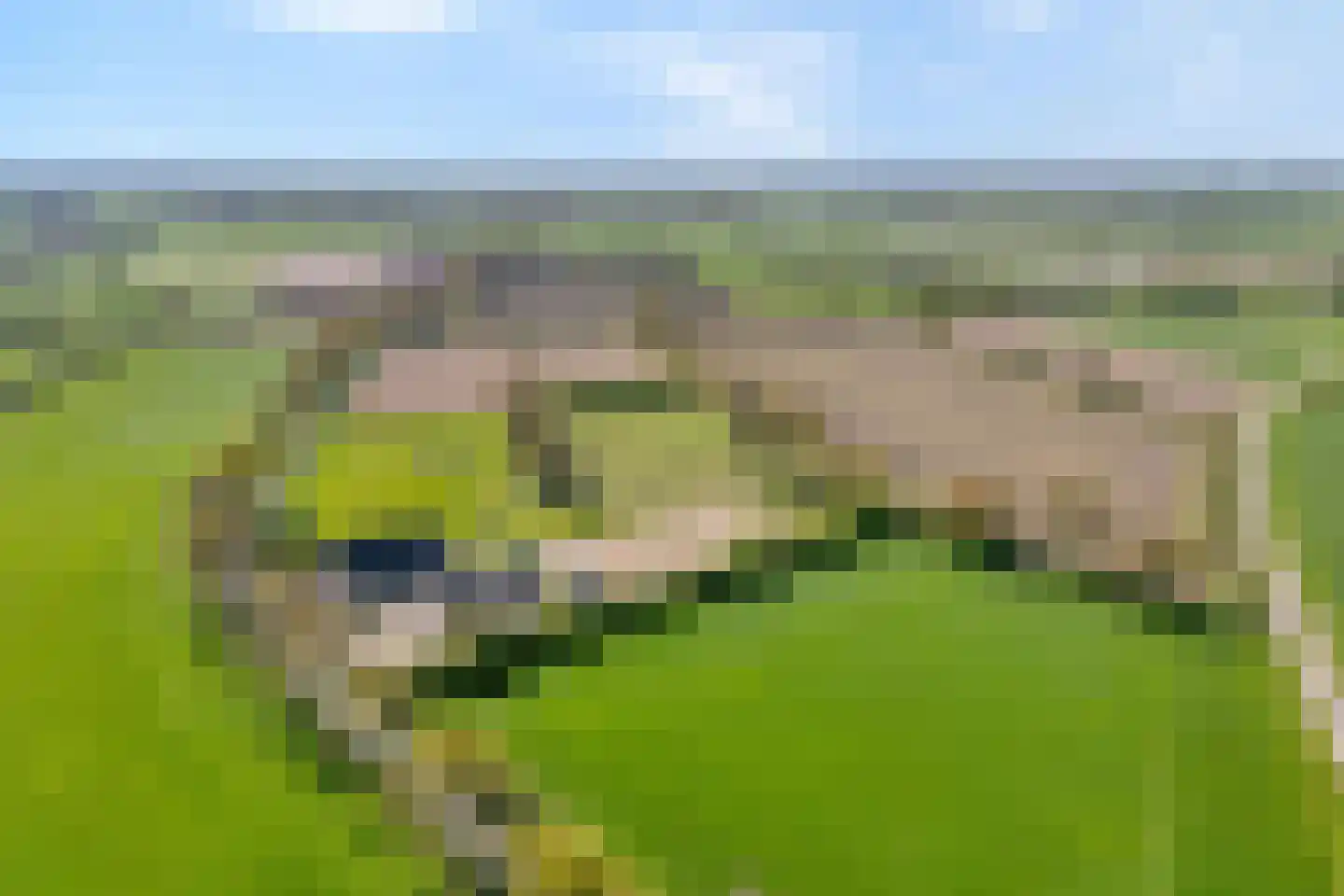 Thijendijk 12 Steenwijkerwold thumbnail 10