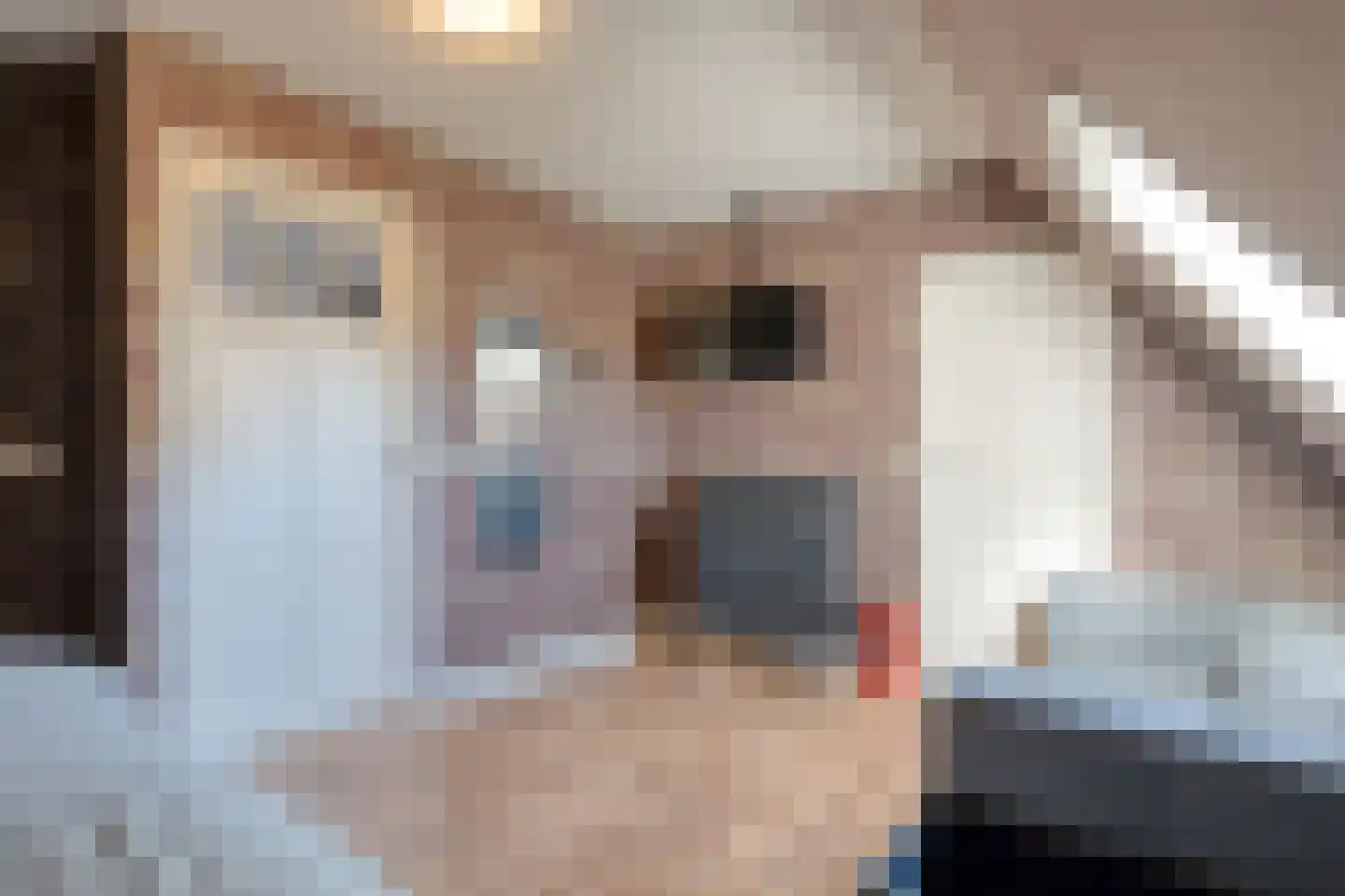 Thijendijk 12 Steenwijkerwold thumbnail 101