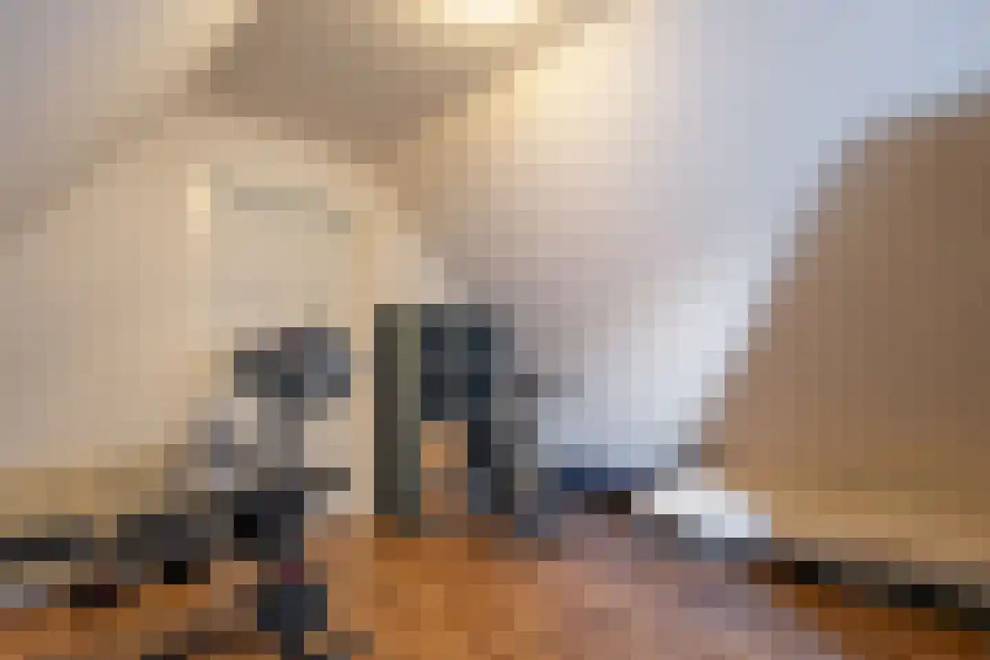 Thijendijk 12 Steenwijkerwold thumbnail 120
