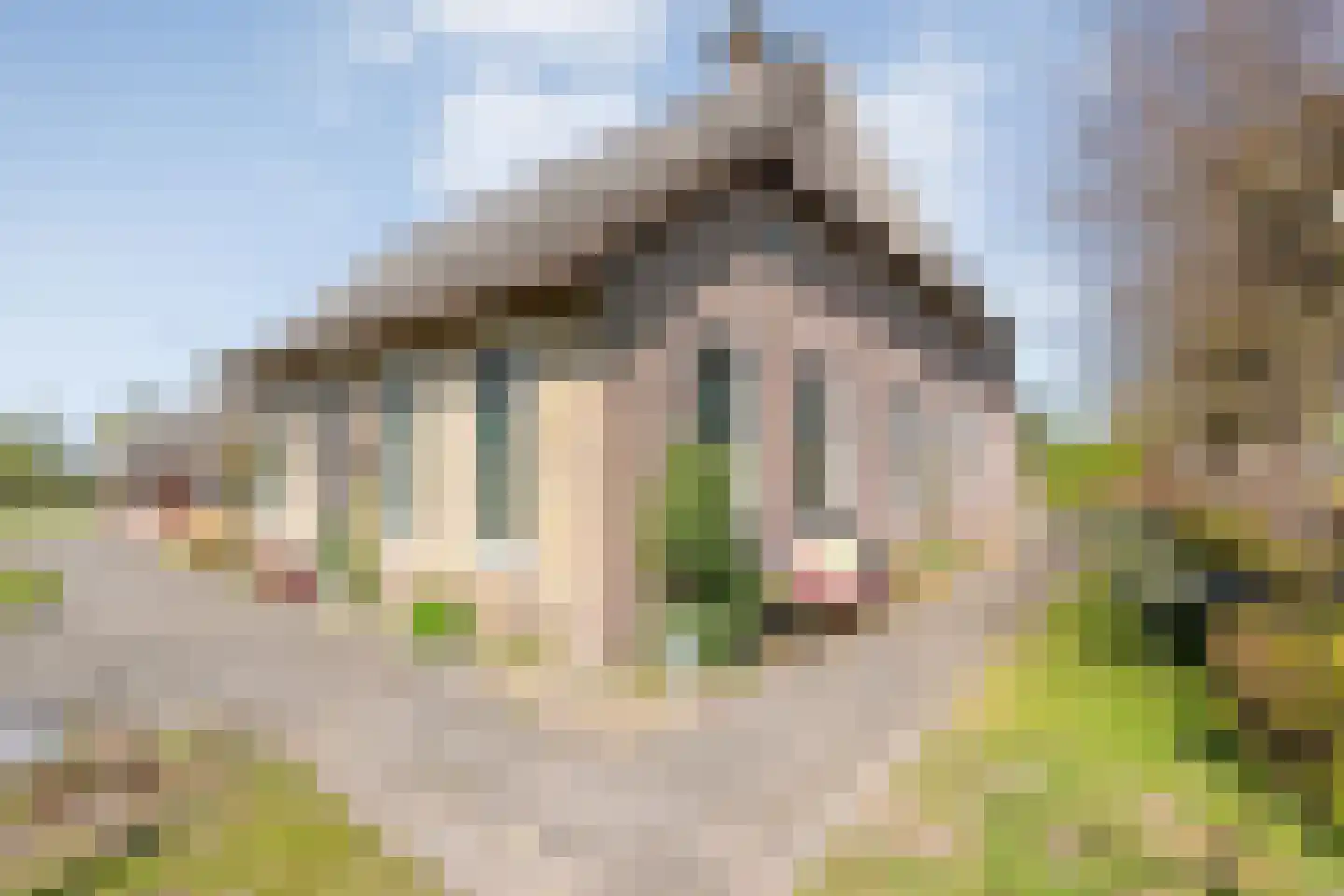 Thijendijk 12 Steenwijkerwold thumbnail 126