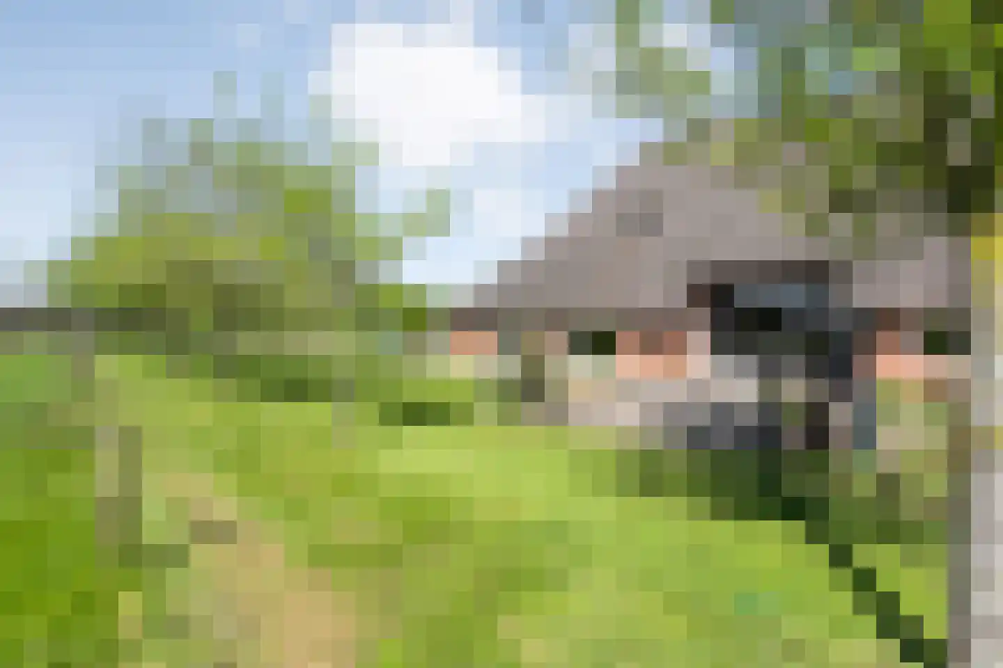Thijendijk 12 Steenwijkerwold thumbnail 128