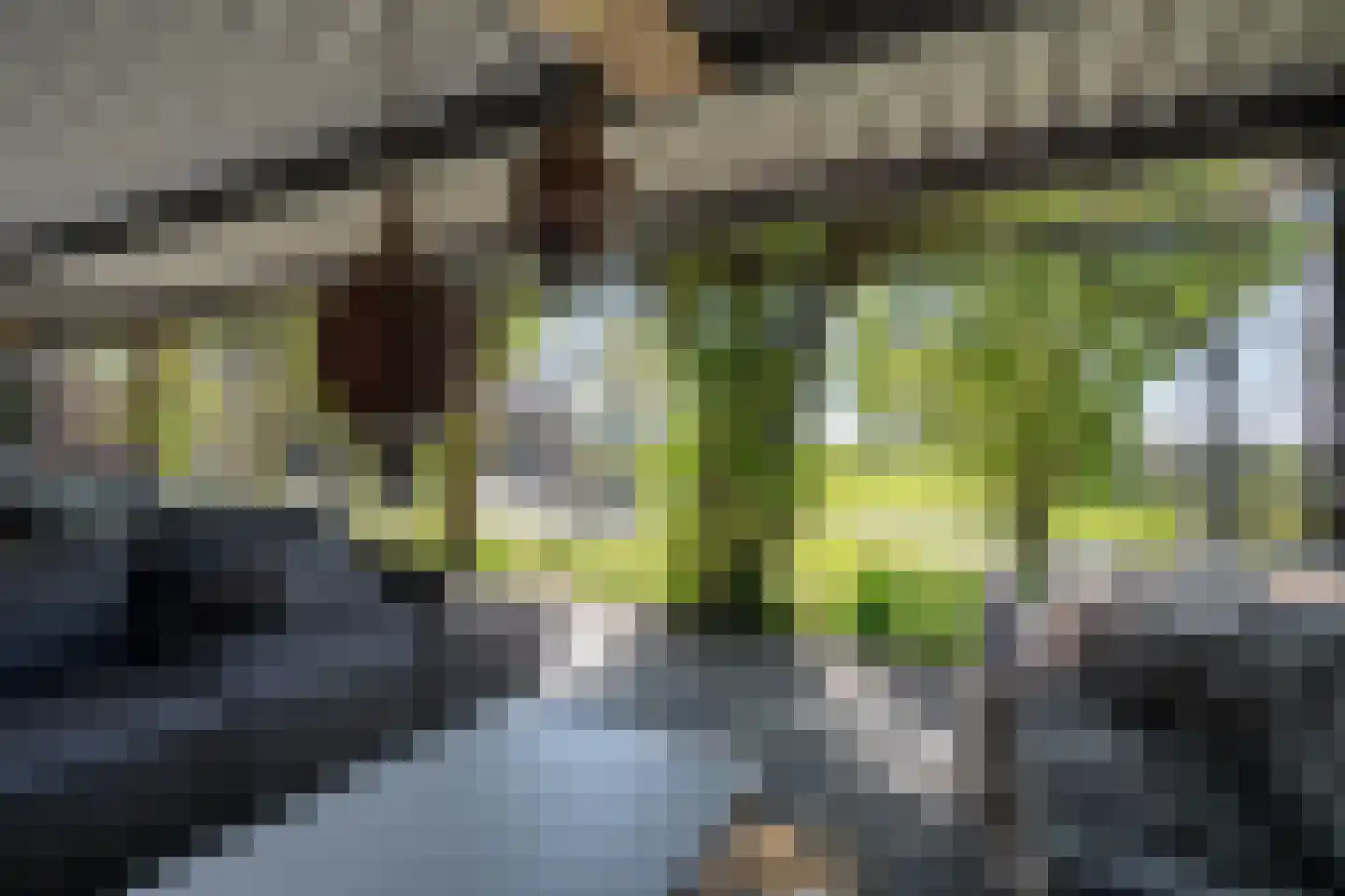 Thijendijk 12 Steenwijkerwold thumbnail 133