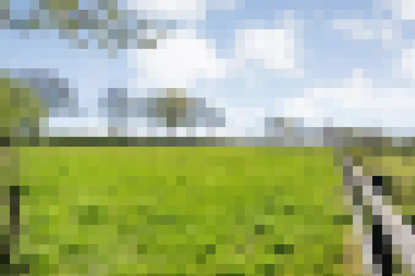 Thijendijk 12 Steenwijkerwold thumbnail 141