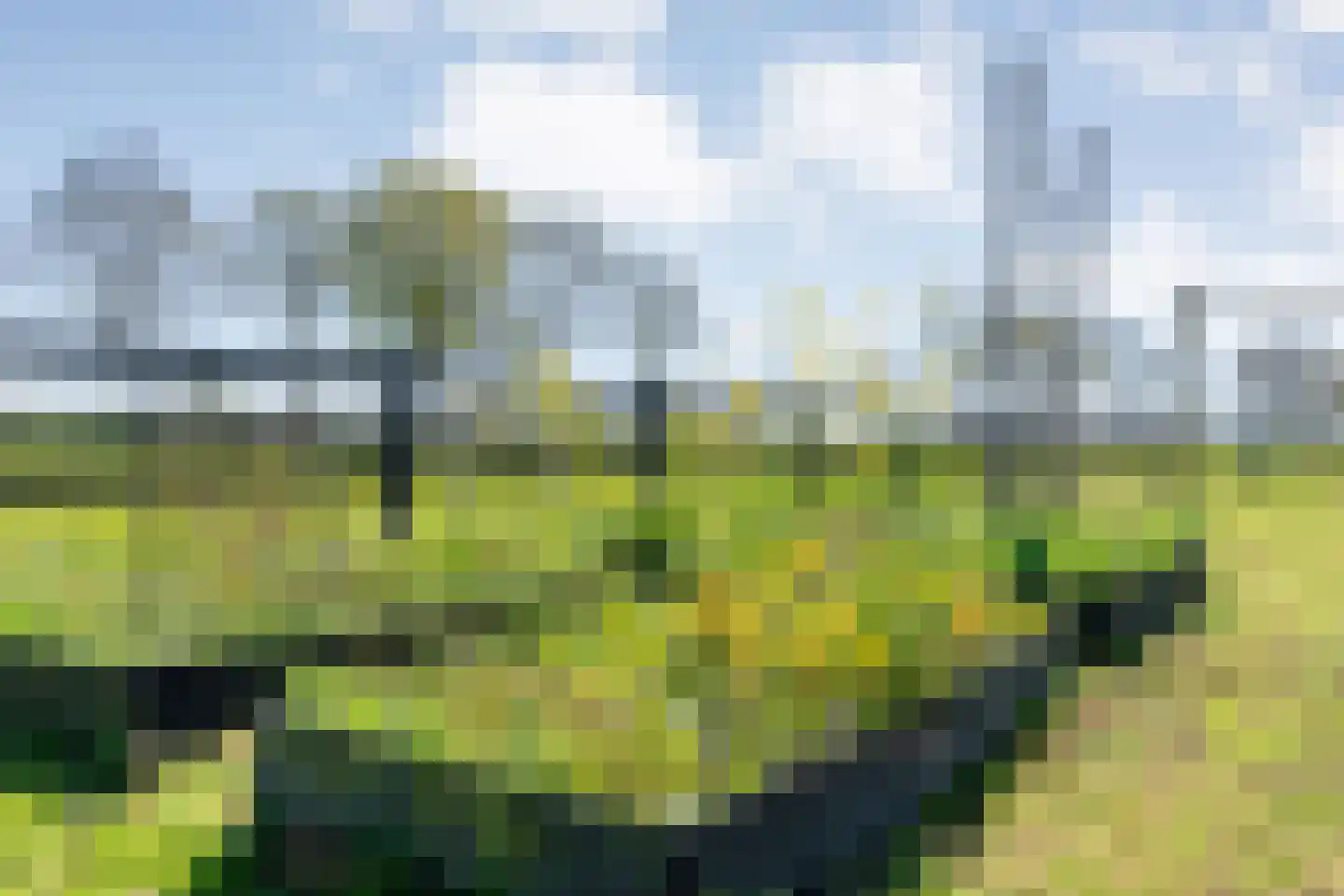 Thijendijk 12 Steenwijkerwold thumbnail 143