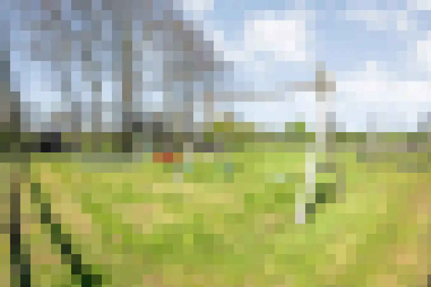 Thijendijk 12 Steenwijkerwold thumbnail 145