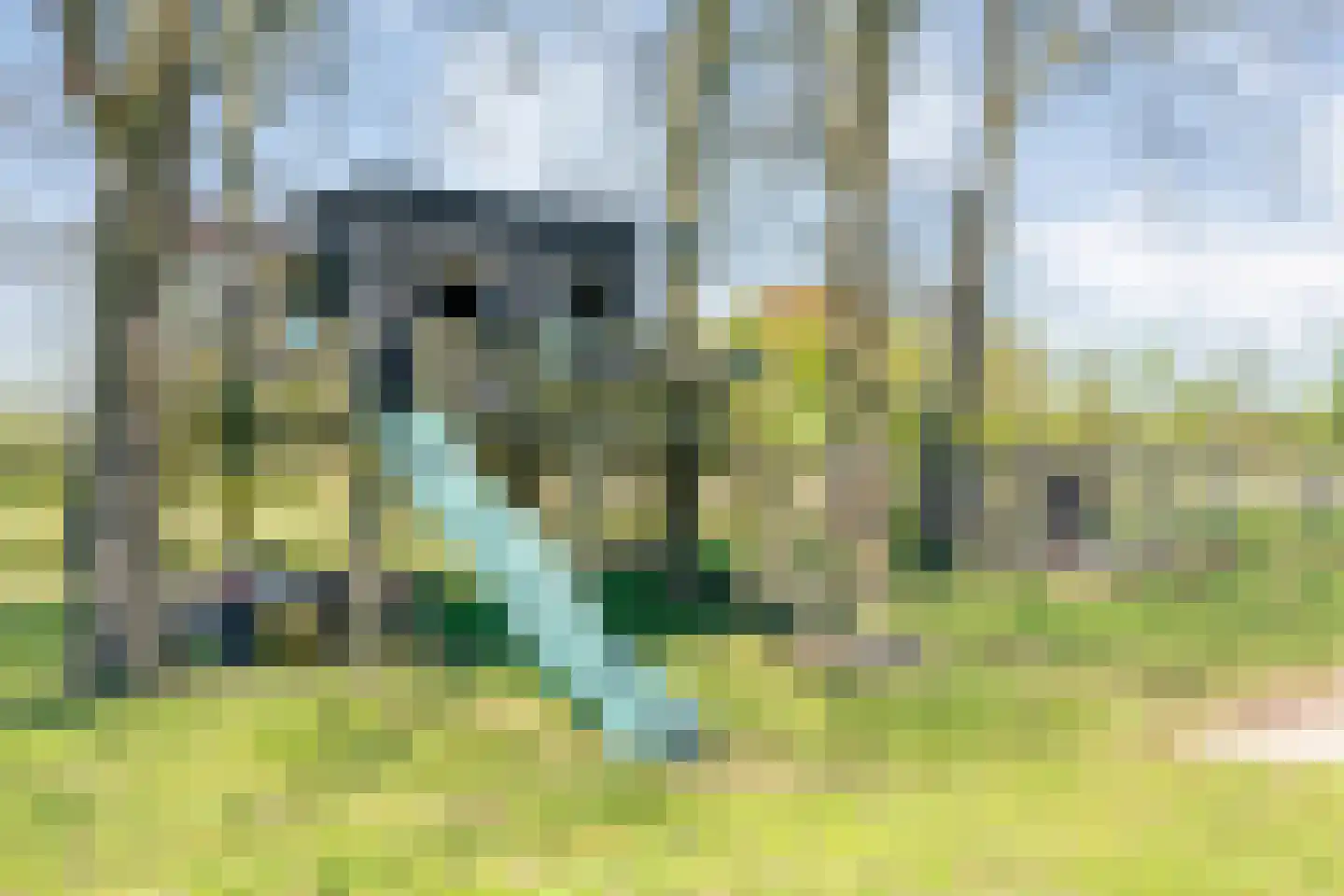 Thijendijk 12 Steenwijkerwold thumbnail 146