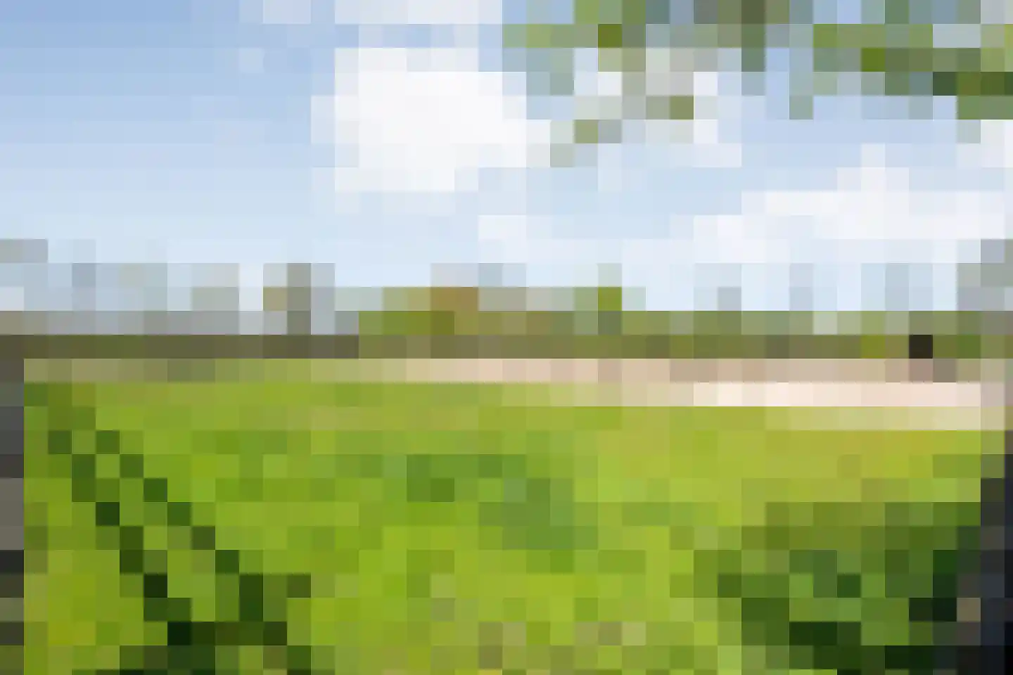 Thijendijk 12 Steenwijkerwold thumbnail 147