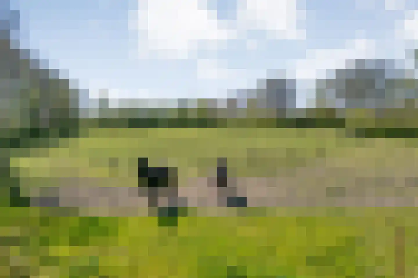 Thijendijk 12 Steenwijkerwold thumbnail 16