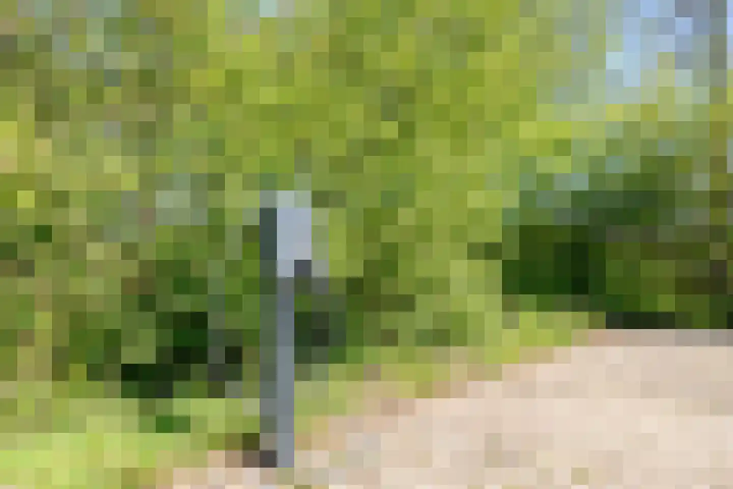 Thijendijk 12 Steenwijkerwold thumbnail 24