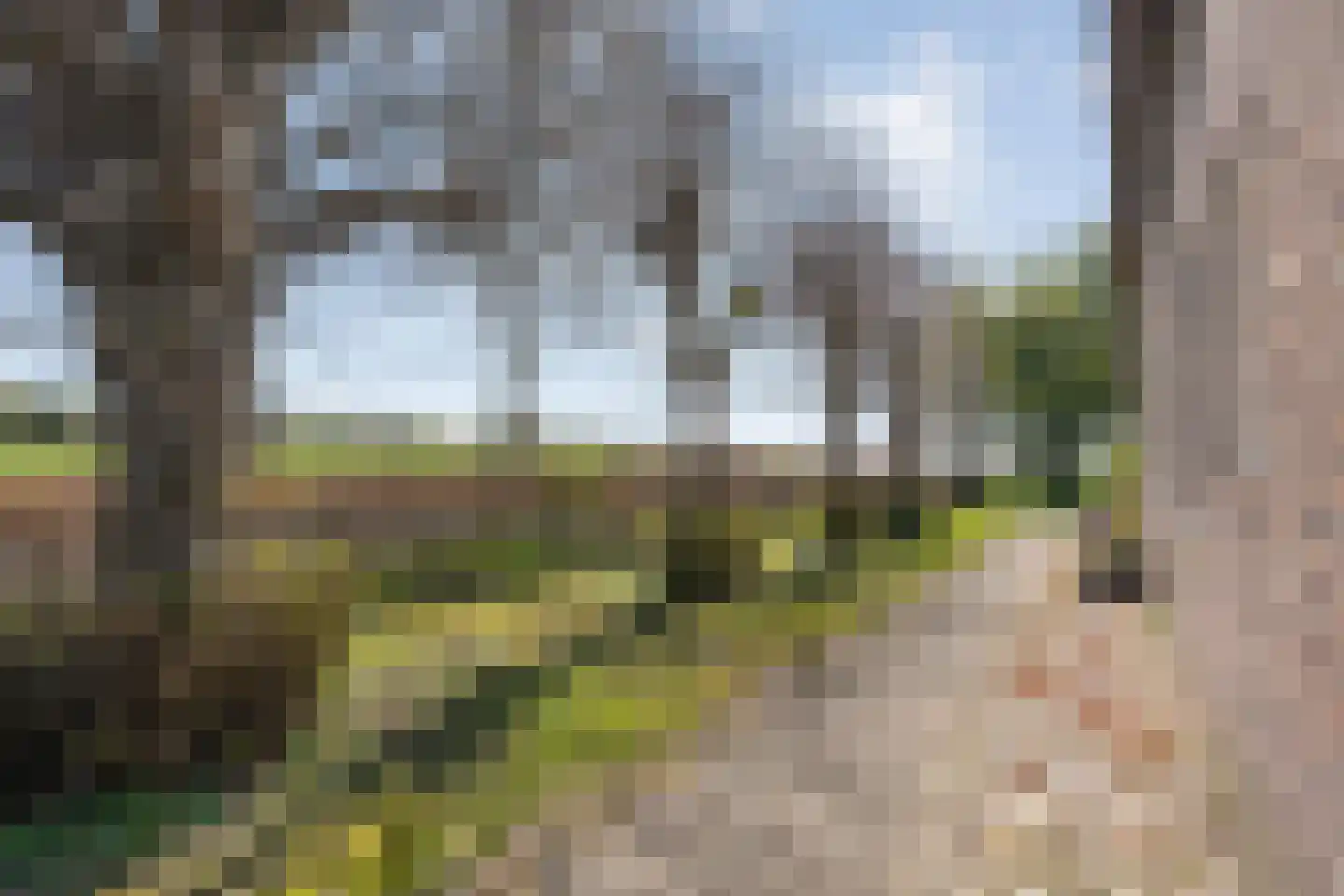 Thijendijk 12 Steenwijkerwold thumbnail 28