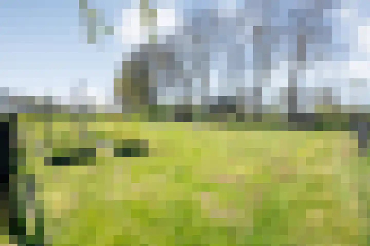 Thijendijk 12 Steenwijkerwold thumbnail 4