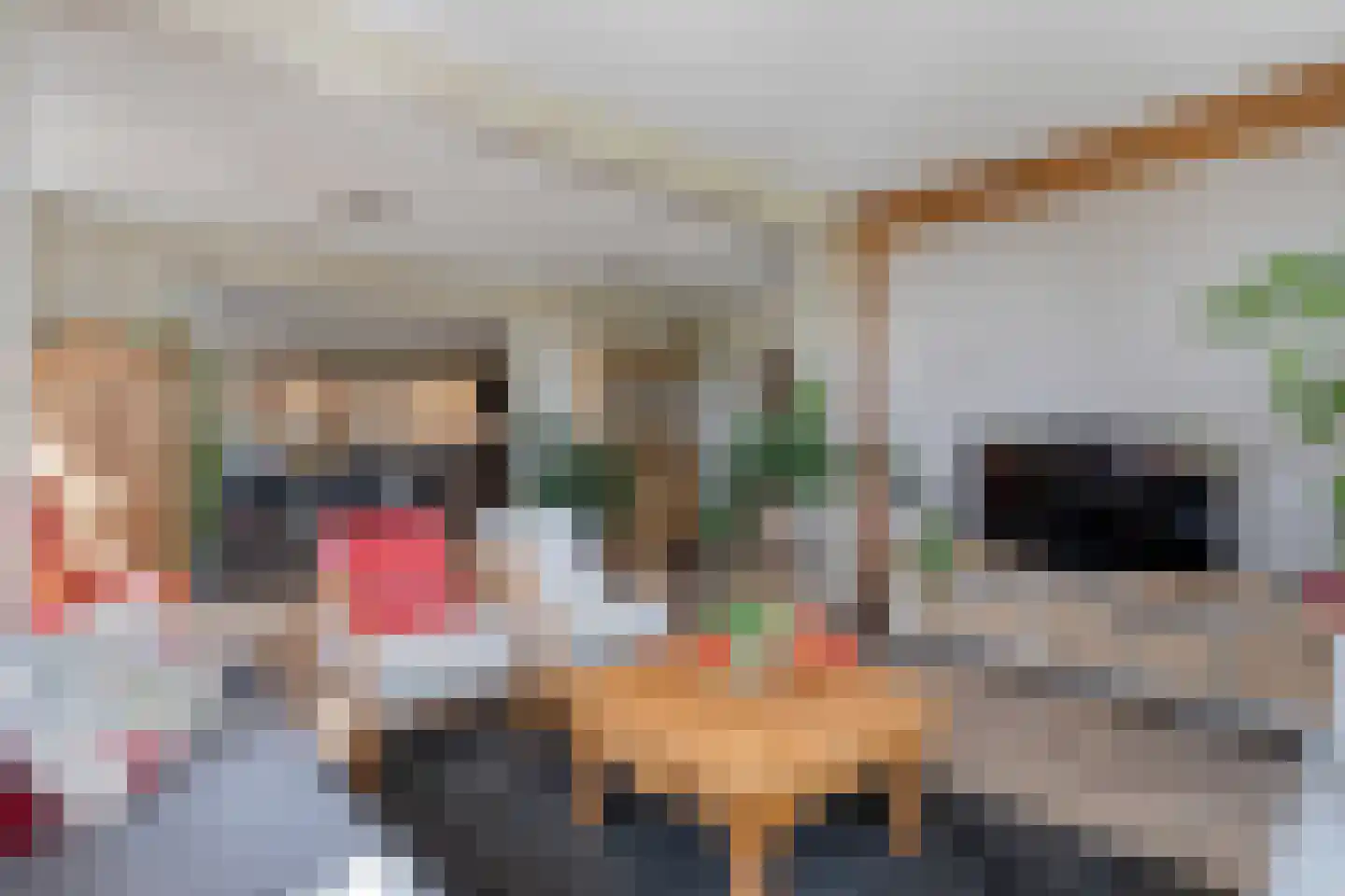 Thijendijk 12 Steenwijkerwold thumbnail 47