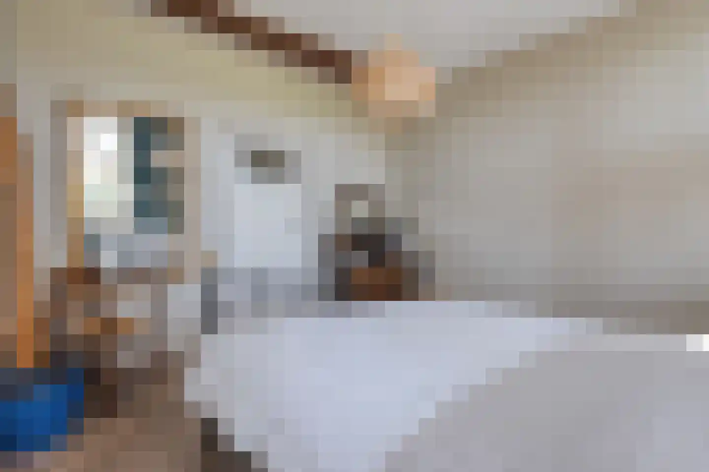 Thijendijk 12 Steenwijkerwold thumbnail 53