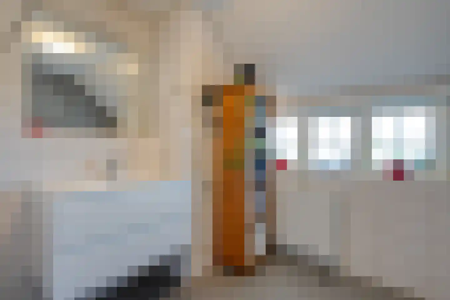 Thijendijk 12 Steenwijkerwold thumbnail 56