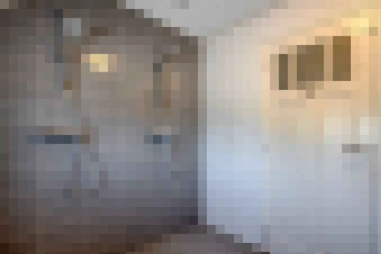 Thijendijk 12 Steenwijkerwold thumbnail 57