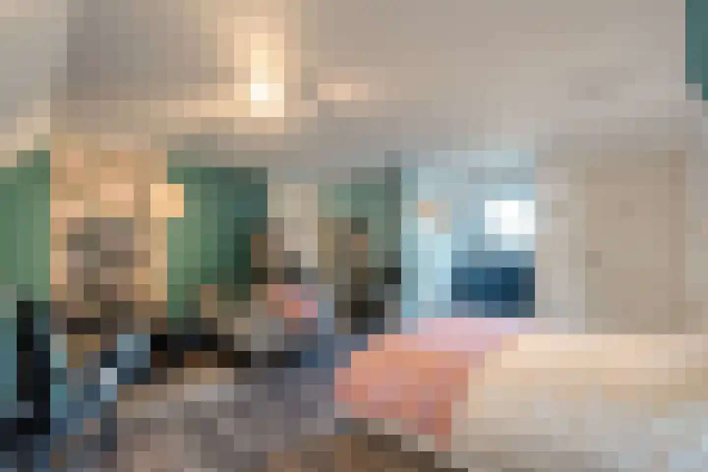 Thijendijk 12 Steenwijkerwold thumbnail 61