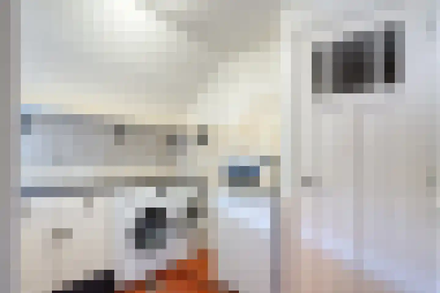 Thijendijk 12 Steenwijkerwold thumbnail 70