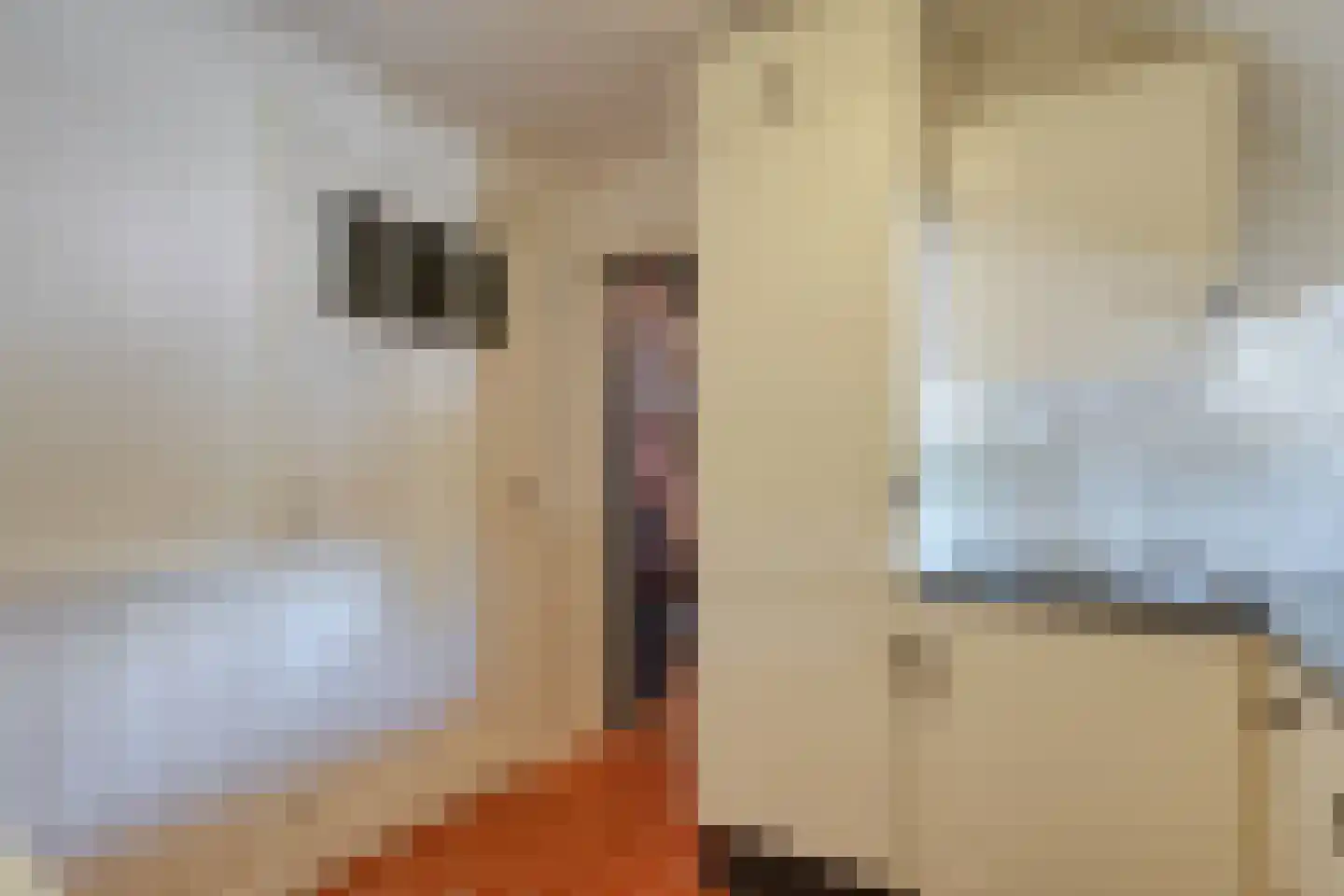Thijendijk 12 Steenwijkerwold thumbnail 71