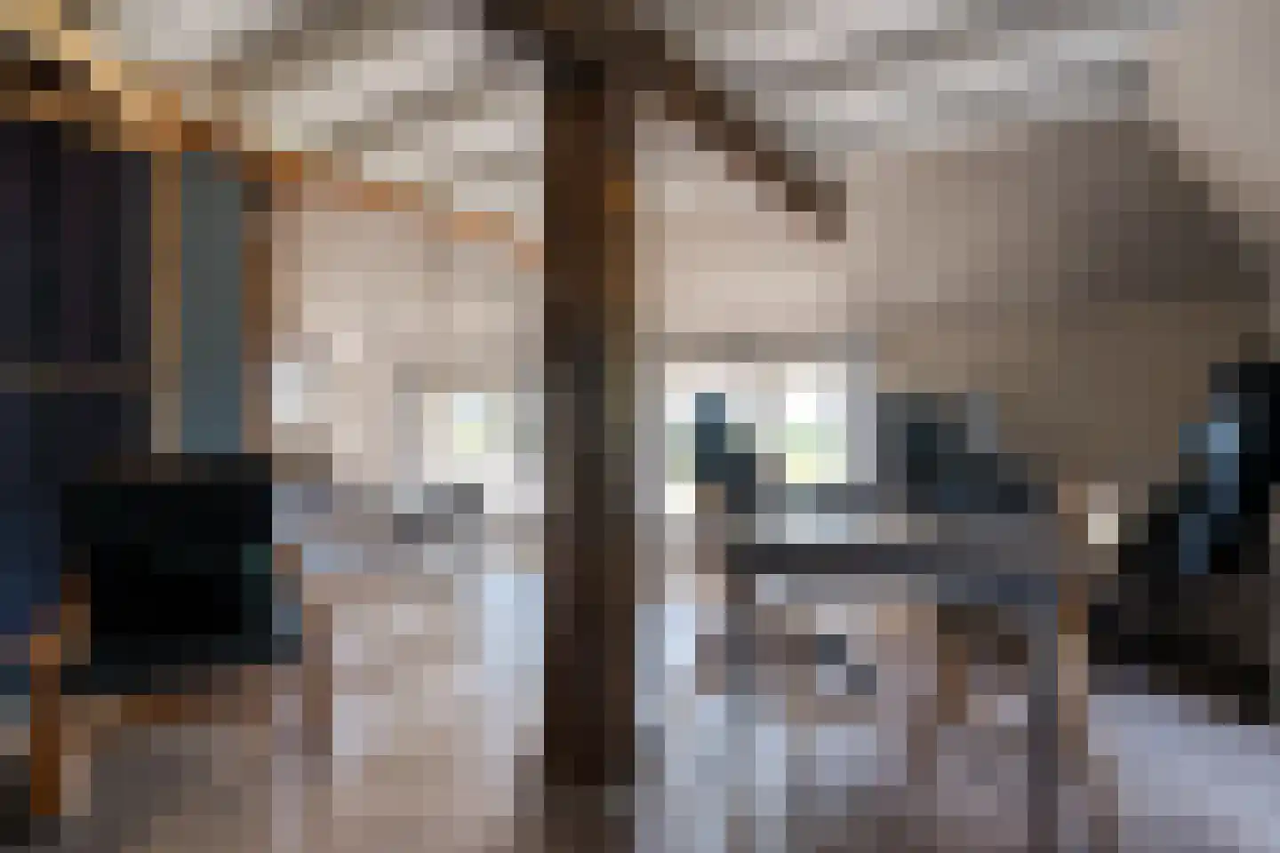 Thijendijk 12 Steenwijkerwold thumbnail 89