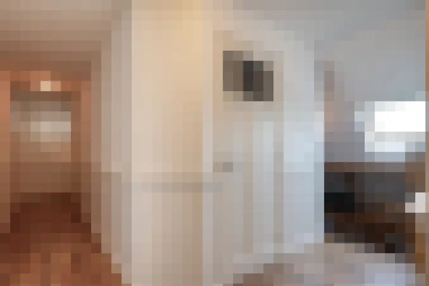 Thijendijk 12 Steenwijkerwold thumbnail 97