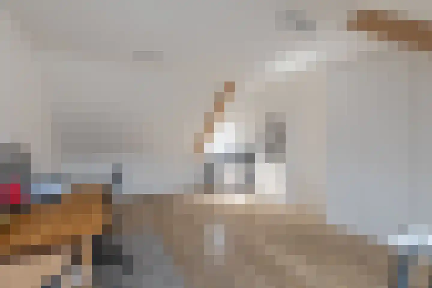 Thijmhof 5 Heemskerk thumbnail 40
