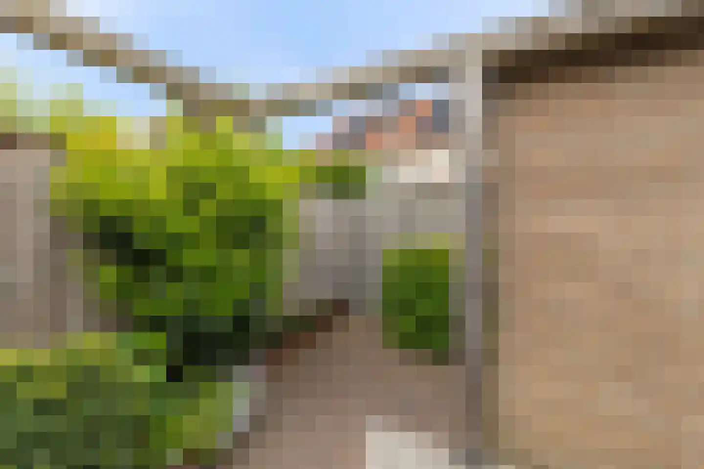 Thijmhof 5 Heemskerk thumbnail 46
