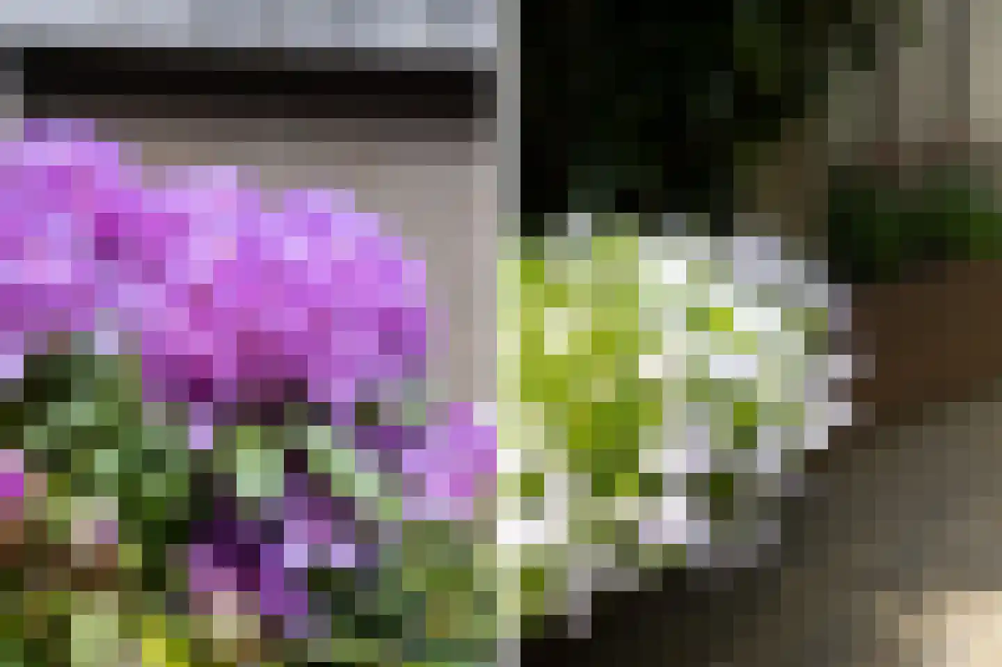 Thijmhof 5 Heemskerk thumbnail 47