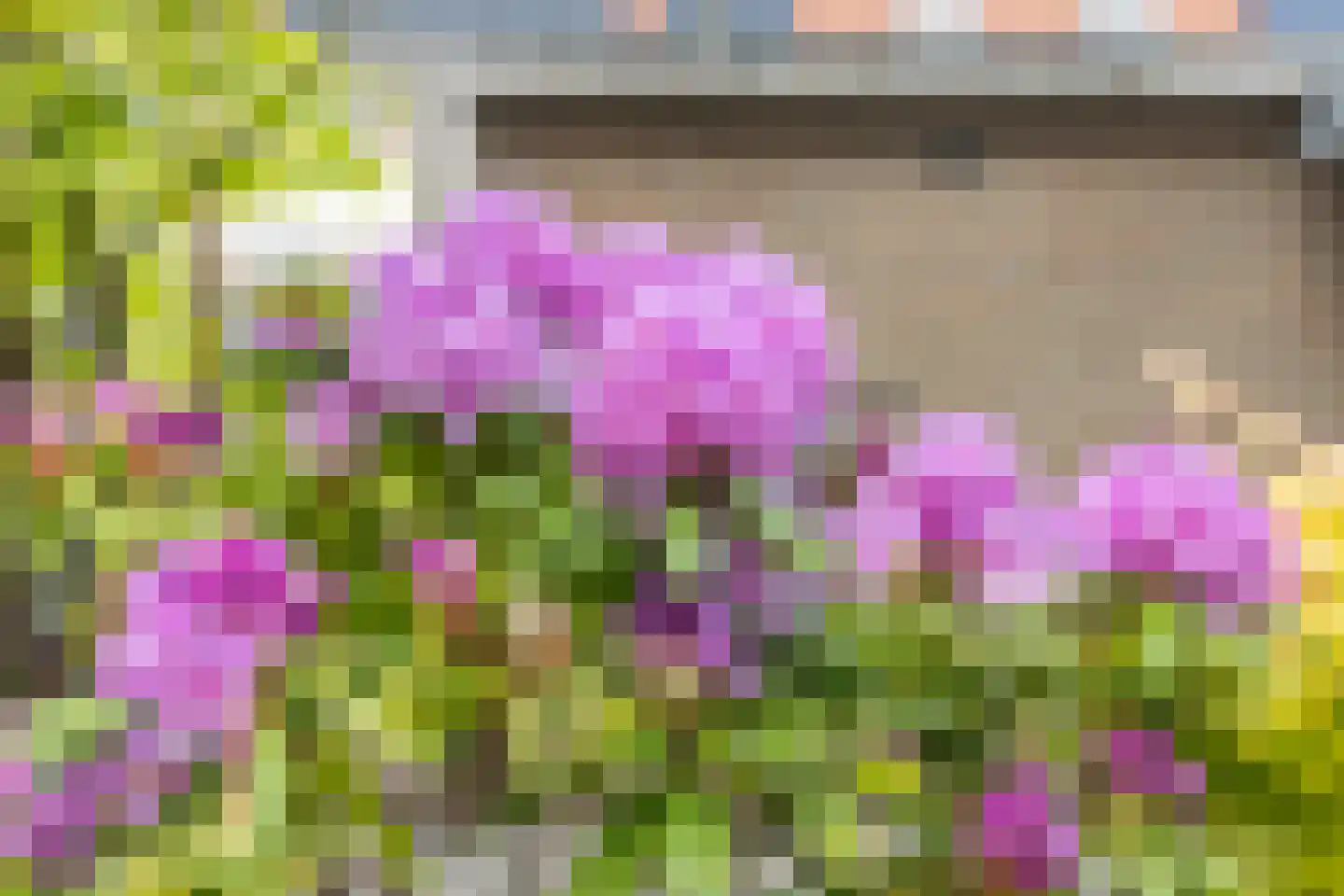 Thijmhof 5 Heemskerk thumbnail 50