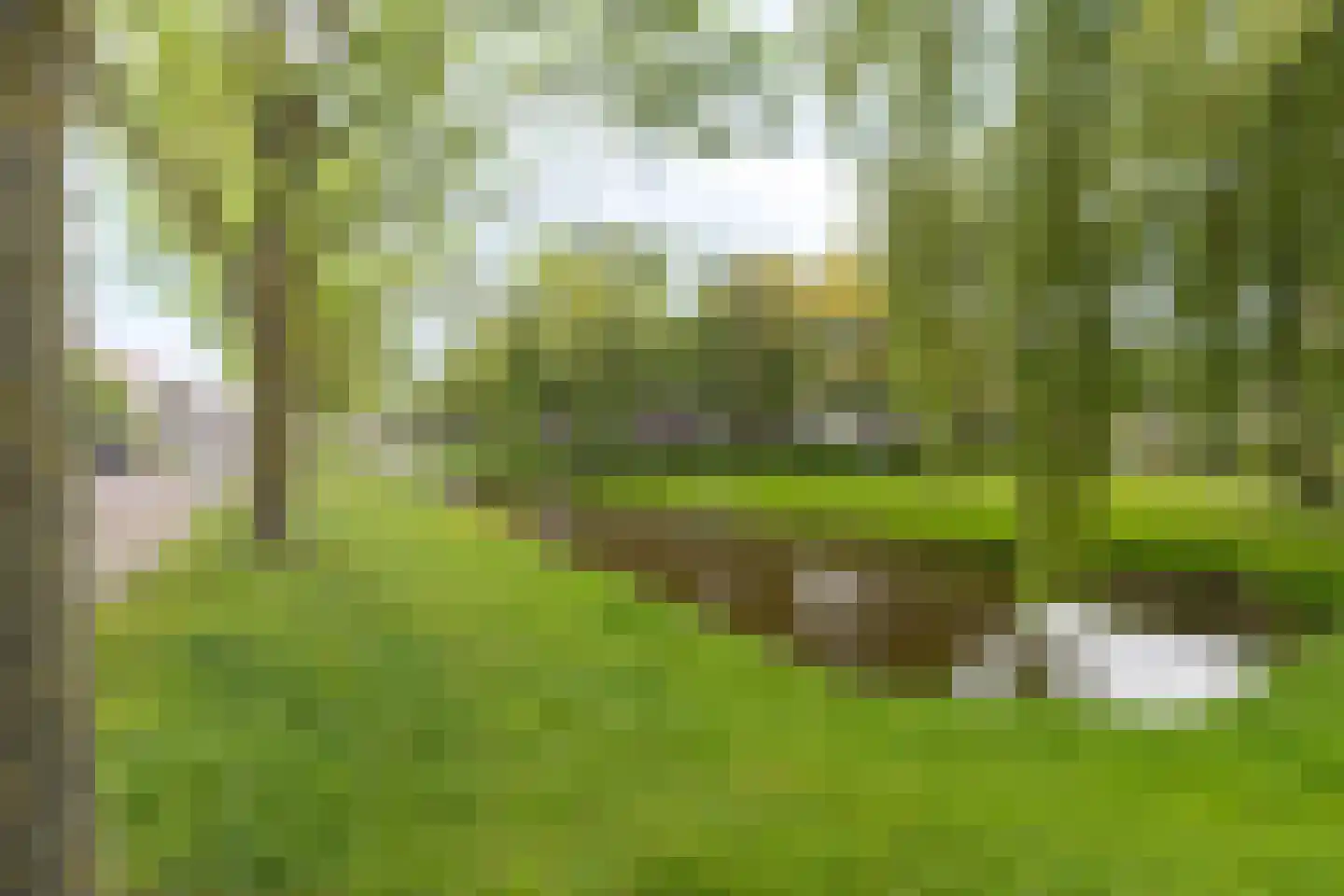 Thijmhof 5 Heemskerk thumbnail 52