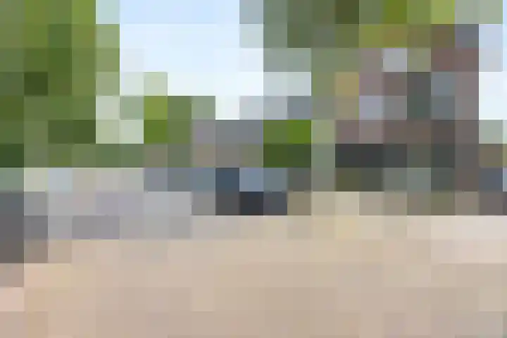 Thijmstraat 109 Nijmegen thumbnail 4