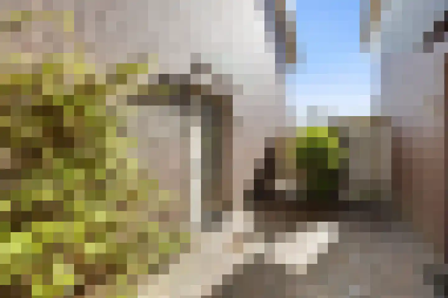 Thijmstraat 145 Nijmegen thumbnail 32