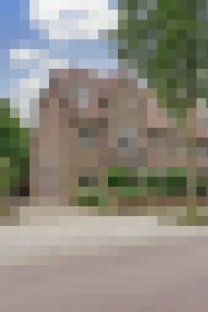 Thijmstraat 27 Nijmegen thumbnail 60