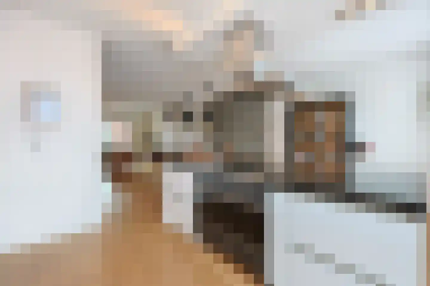 Thijmstraat 7 Eindhoven thumbnail 28