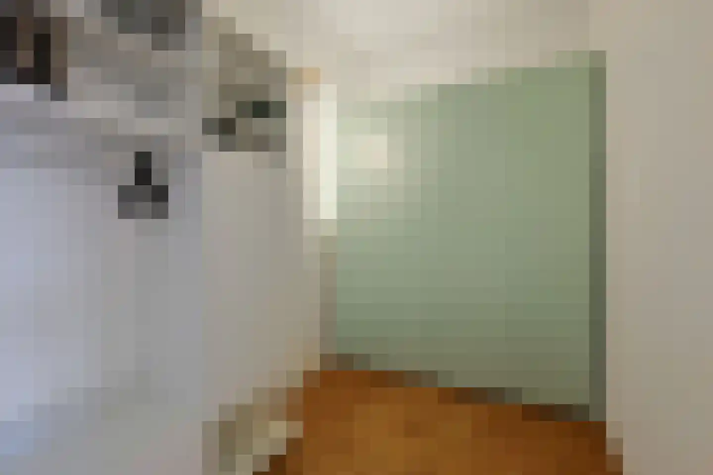 Thijmstraat 7 Eindhoven thumbnail 53
