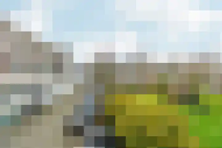 Thijmstraat 7 G Nijmegen thumbnail 30