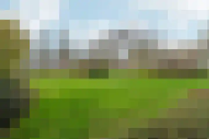 Thijmstraat 7 G Nijmegen thumbnail 32