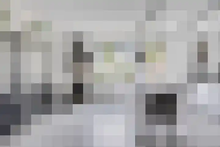 Thijs de Torenwachterstr 14 Zaltbommel thumbnail 10
