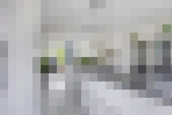 Thijs de Torenwachterstr 14 Zaltbommel thumbnail 12