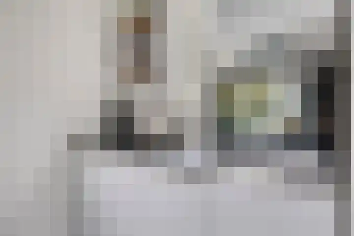 Thijs de Torenwachterstr 14 Zaltbommel thumbnail 13