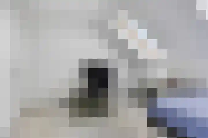 Thijs de Torenwachterstr 14 Zaltbommel thumbnail 24