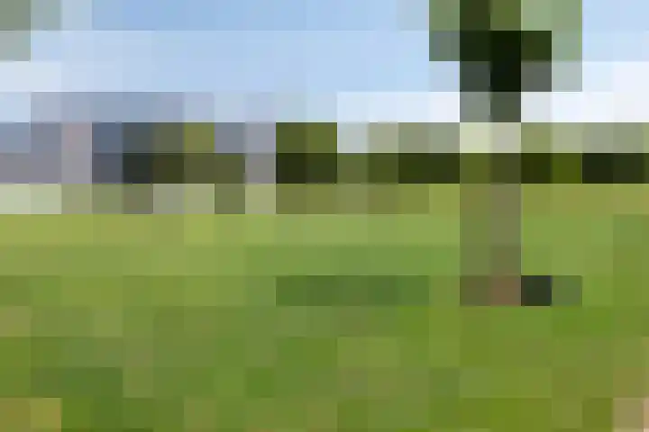 Thijs de Torenwachterstr 14 Zaltbommel thumbnail 38