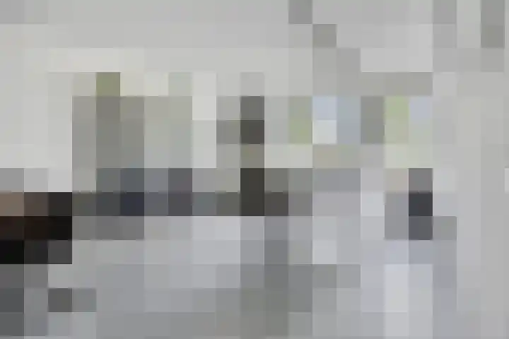 Thijs de Torenwachterstr 14 Zaltbommel thumbnail 9