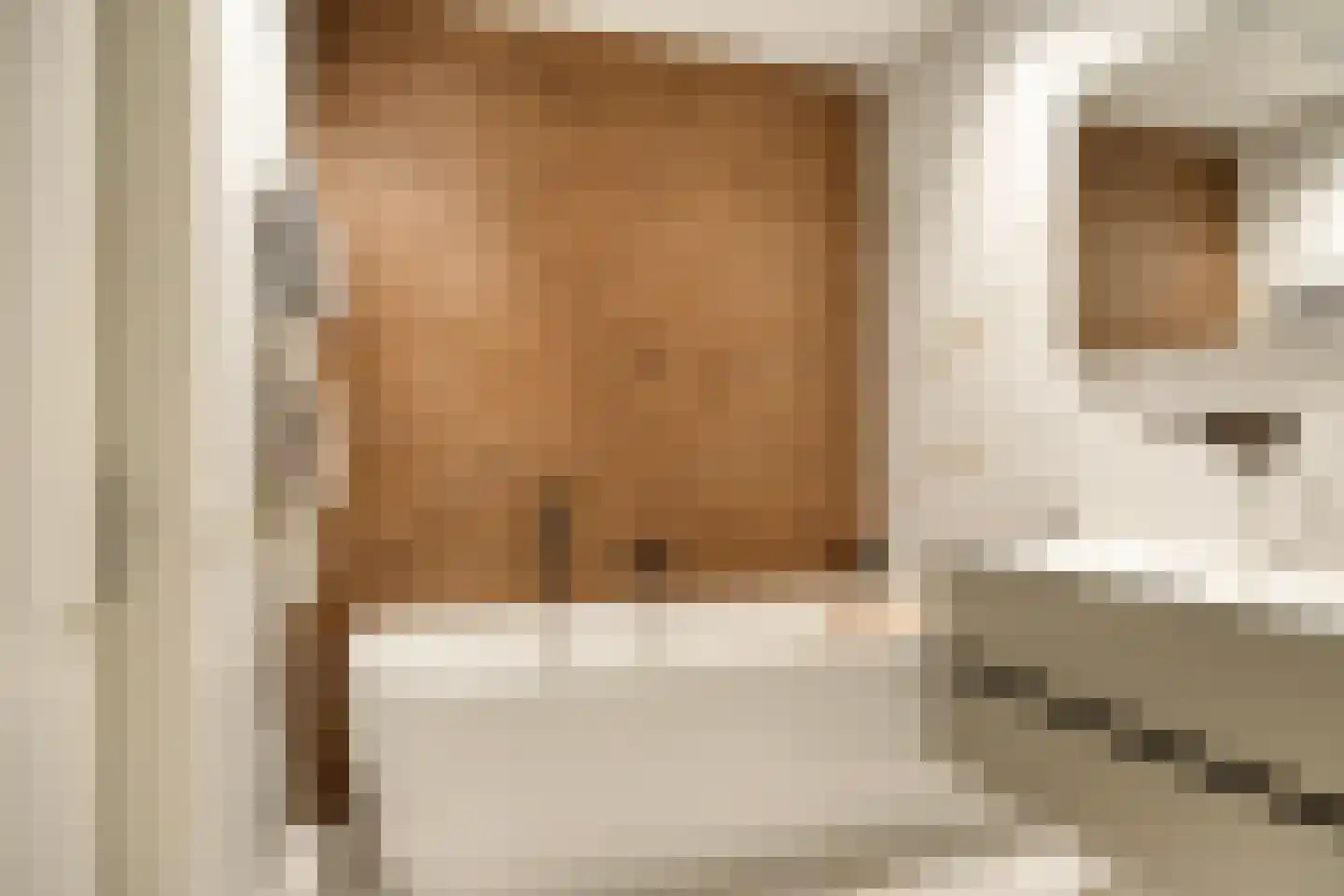 Thijs de Torenwachterstr 5 Zaltbommel thumbnail 30