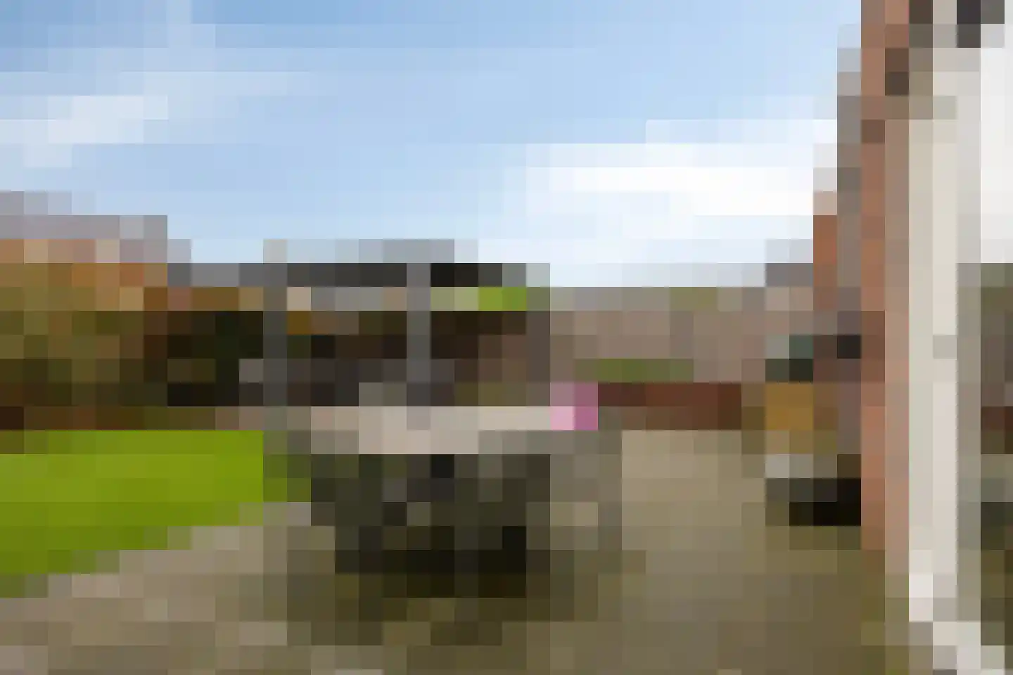 Thijs de Torenwachterstr 5 Zaltbommel thumbnail 36