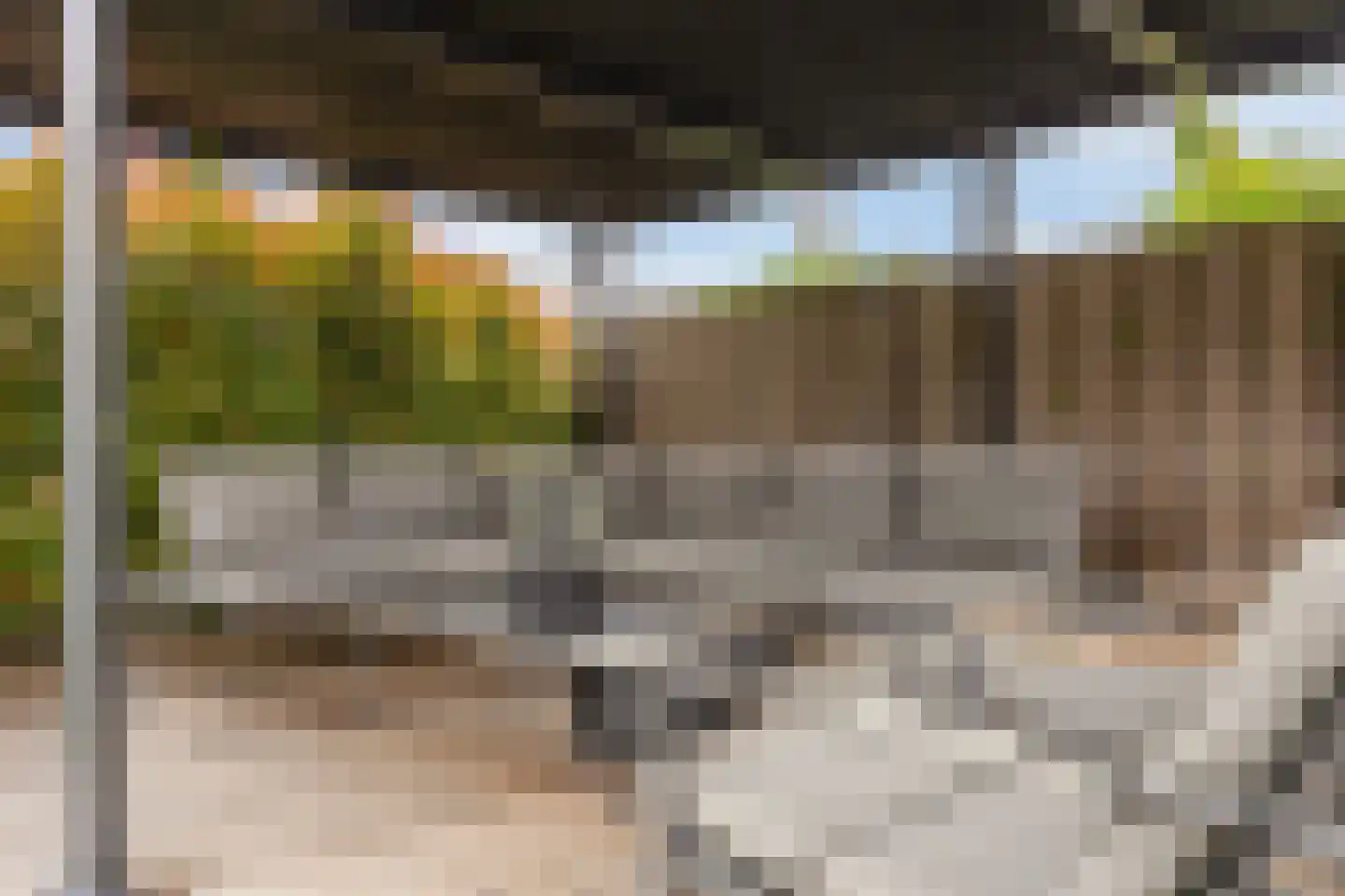 Thijs de Torenwachterstr 5 Zaltbommel thumbnail 40