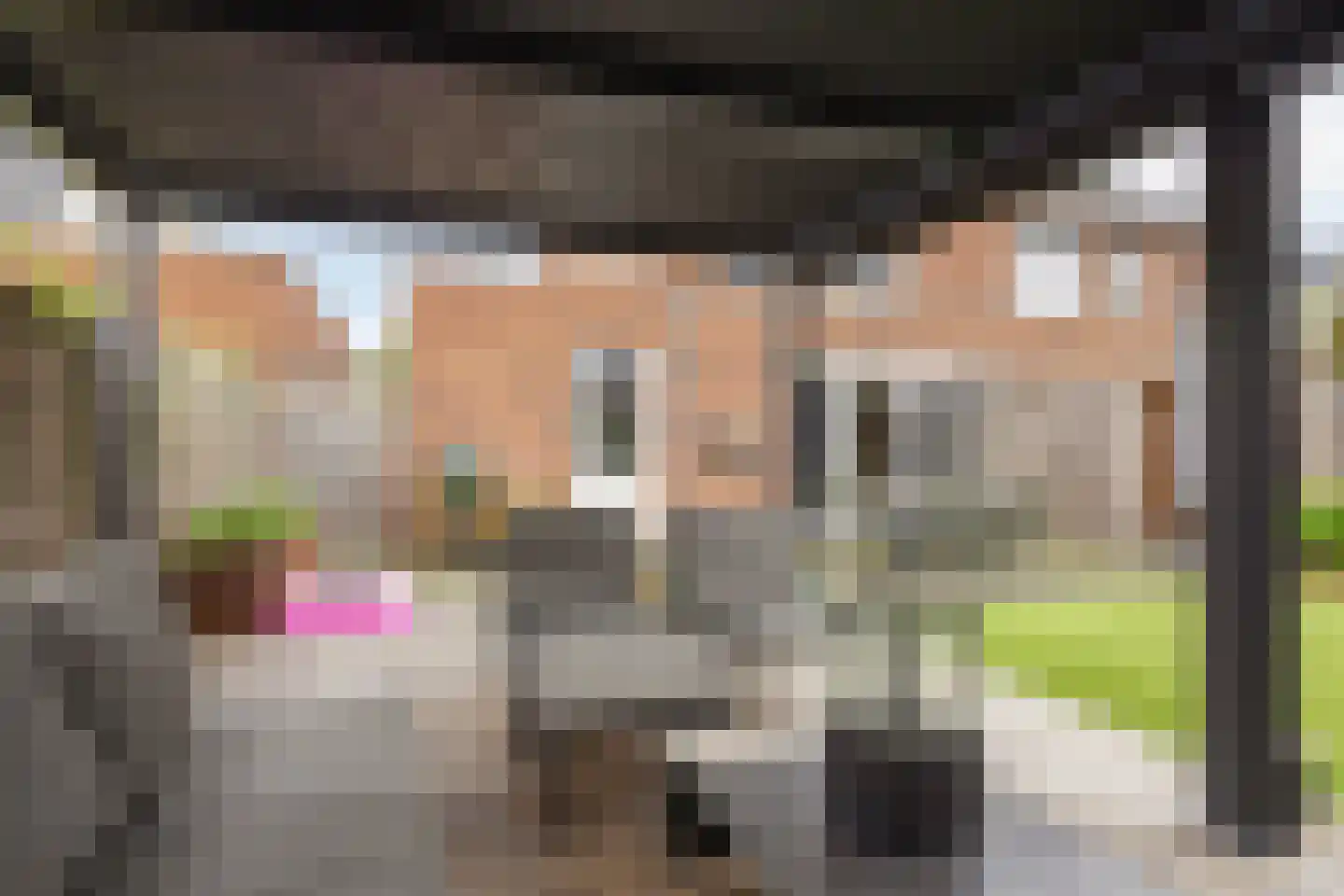 Thijs de Torenwachterstr 5 Zaltbommel thumbnail 41