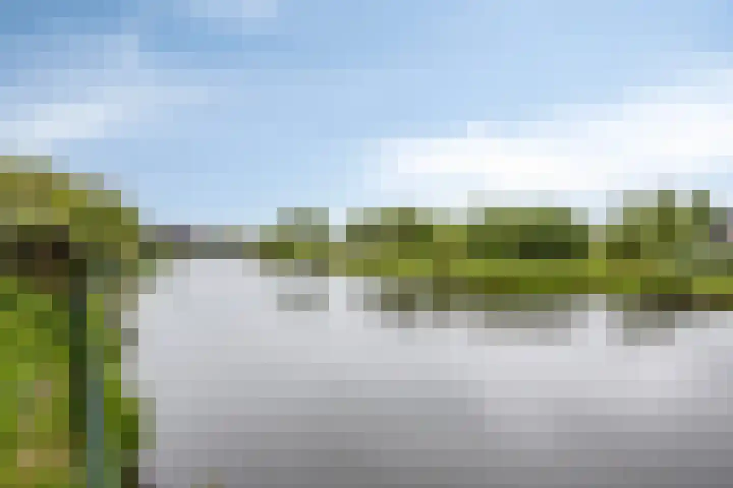 Thijs de Torenwachterstr 5 Zaltbommel thumbnail 51